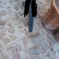 دوچرخه