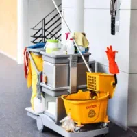 خدمتکار نظافتچی منزل و دستیار شخصی