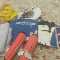 هوگوی تکواندو