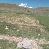 زمین مسکونی