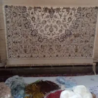فرش|فرش|مراغه, |دیوار