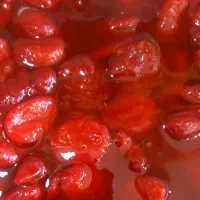 دنیای ترشک و ترشی