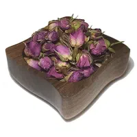 غنچه گل محمدی