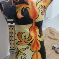 نی انبان