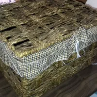 جانونی