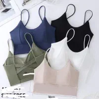 نیم تنه
