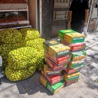 لیموترش با ابگیری