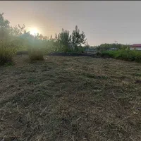 چمن زنی در باغها به صورت کنترات