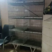 قفس هشت خان غلامی
