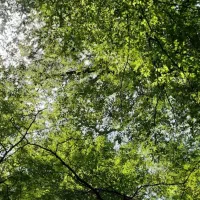 طبیعت گردی