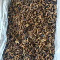 فروش کارتونی کشمش سرکه ای بازدهی عالی