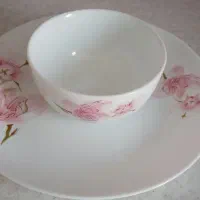 پیاله و پیش دستی آرکوپال 18تا