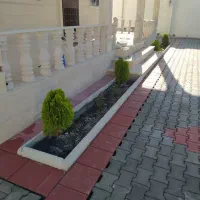 جدول کاری