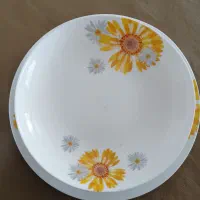 ظرف آرکوپال