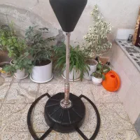 گلابی بوکس