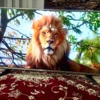 تلویزیون ال ای دی ۴۳ اینچ الجی