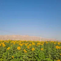 فروش ویلا باغ دادگستری قدیم