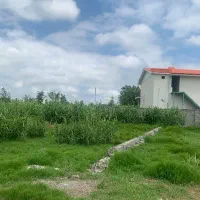 زمین مسکونی 247 متر لولمان