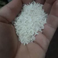 سلام حدود دو تن چلتیک طارم قرمز وهاشمی اصل رودبال