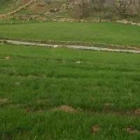 فروش-زمین-باغ-شهری-قره-چمن-مجموعه-آسمان