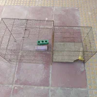 قفس پرنده
