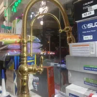 شیر طلایی شاوری