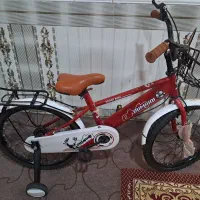 دوچرخه ۲۰ عادی