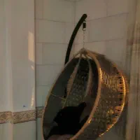 تاب