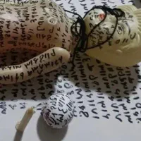 کتاب|کتاب و مجله تاریخی|تبریز, |دیوار