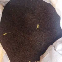 چای خارجی معطر خرما