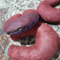 بالش به دور گردنی طبی