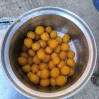پوست گیر آلو