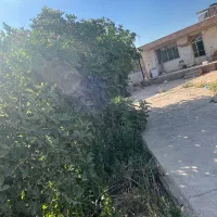 باغچه و خونه