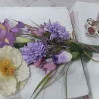 گلهای زیبا