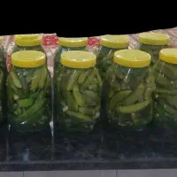خیارشور خانگی