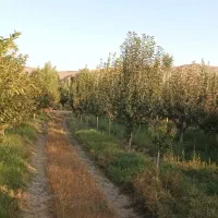 باغ روستای ایوریق