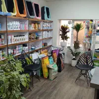 کلینیک حیوانات خانگی دکتر امیر محبی ( دامپزشکی )