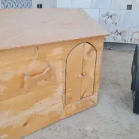 لونه پت. سگ یا گربه.