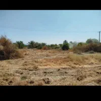 زمین-زراعی