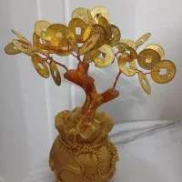 درخت ثروت فنگشویی