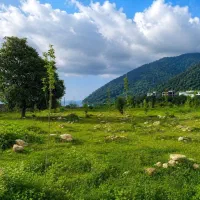 زمین 1000متری نخ شمال/سندو جواز/شهرکی/شرایط پرداخت|فروش زمین و ملک کلنگی|نوشهر, |دیوار