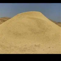 کاه نخود
