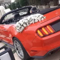 موزیک و فیلمبرداری