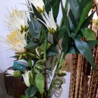 دو مدل گل برای فروش