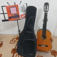 گیتار آریا AK20