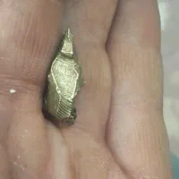 منشور قدیمی