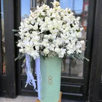 همکار آقا برای گلفروشی