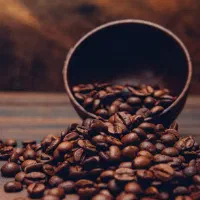 پخش دون قهوه با عالی ترین کیفیت به صورت عمده