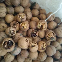 سلام فروش‌یک‌تن‌گردوپوست‌نازک‌وخوب‌