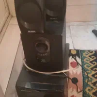 ضبط